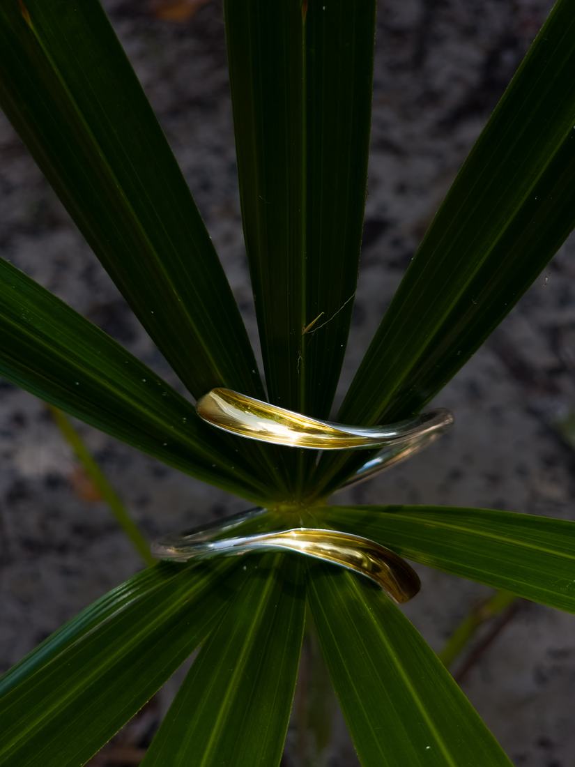 Anillo Hoja de Pusana